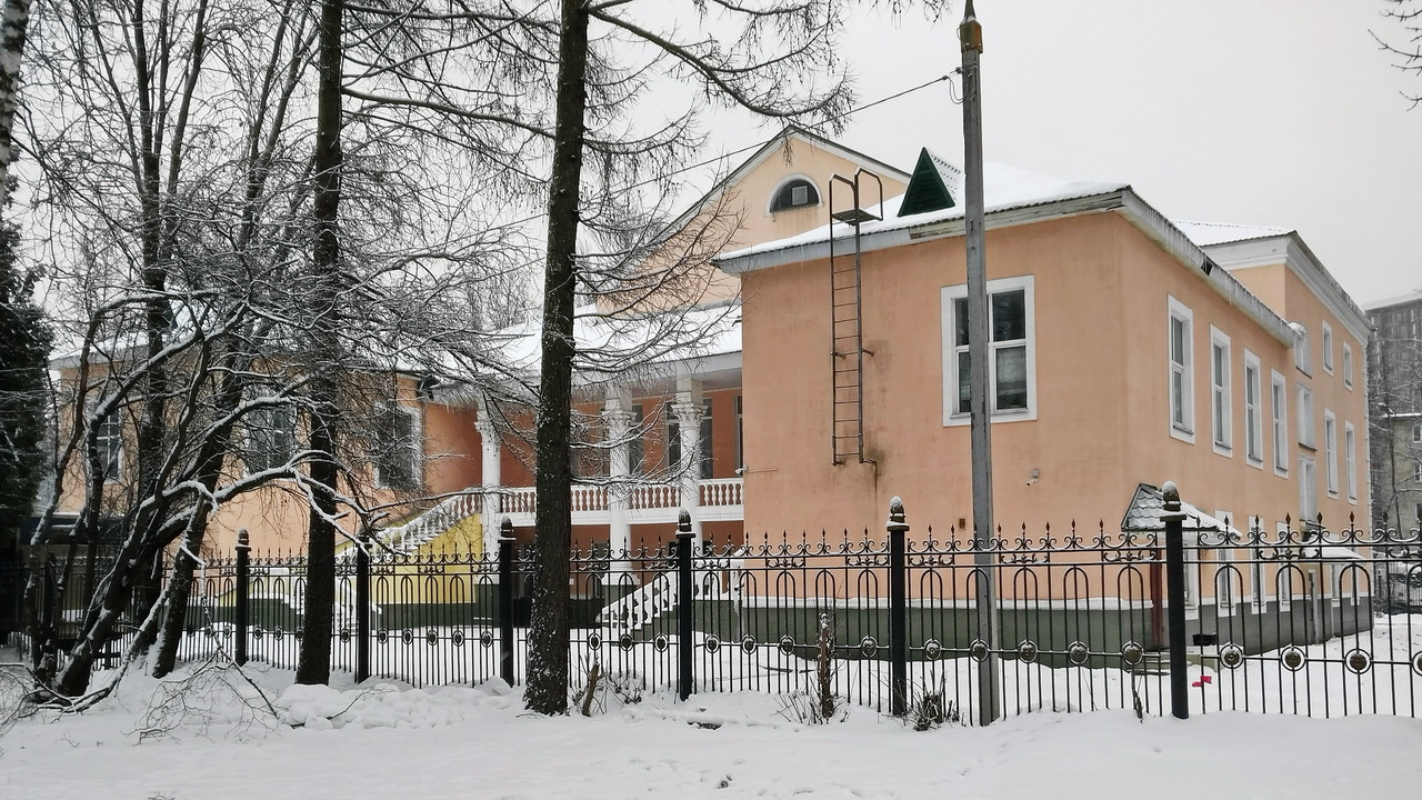Пушкино, Улица Некрасова, 3