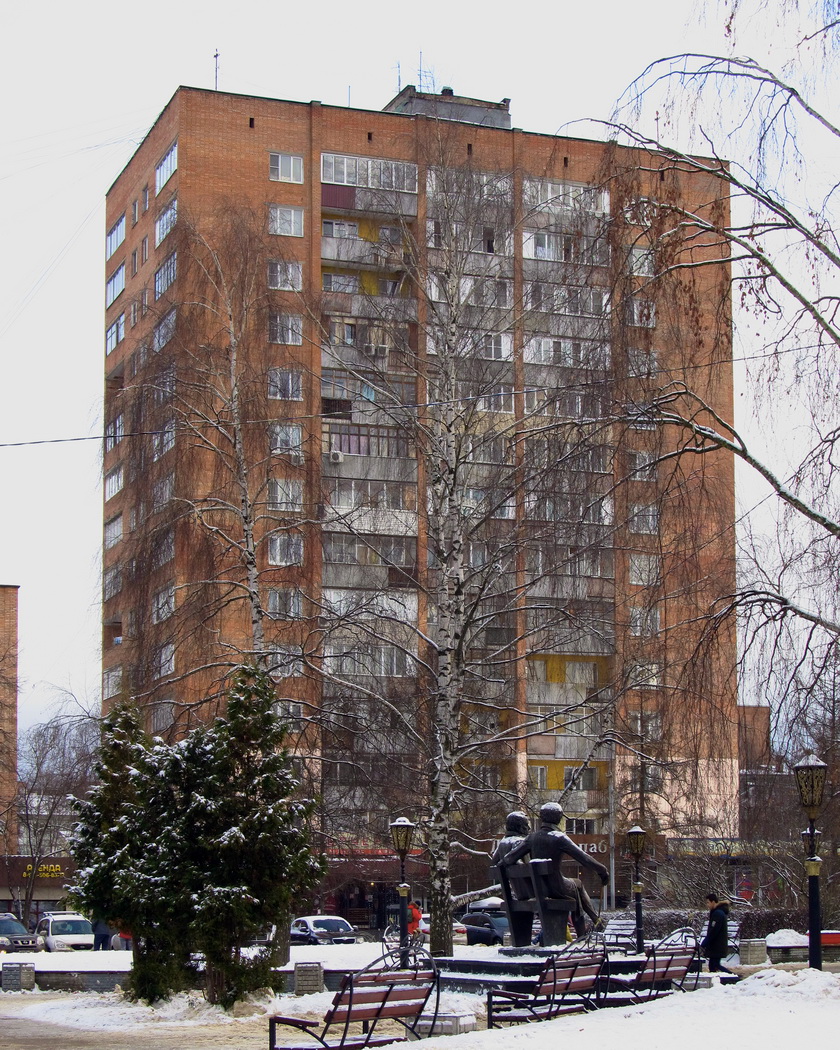 Пушкино, Московский проспект, 9 / Улица Некрасова, 2