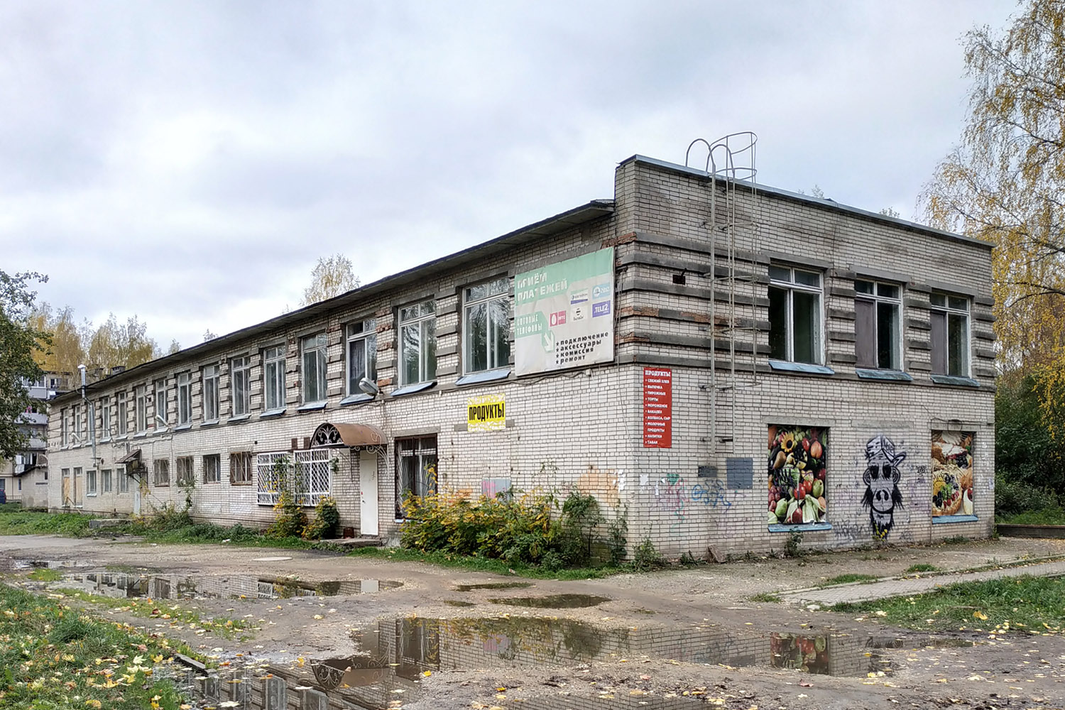 Gatchina District, other localities, Новый Свет, 6