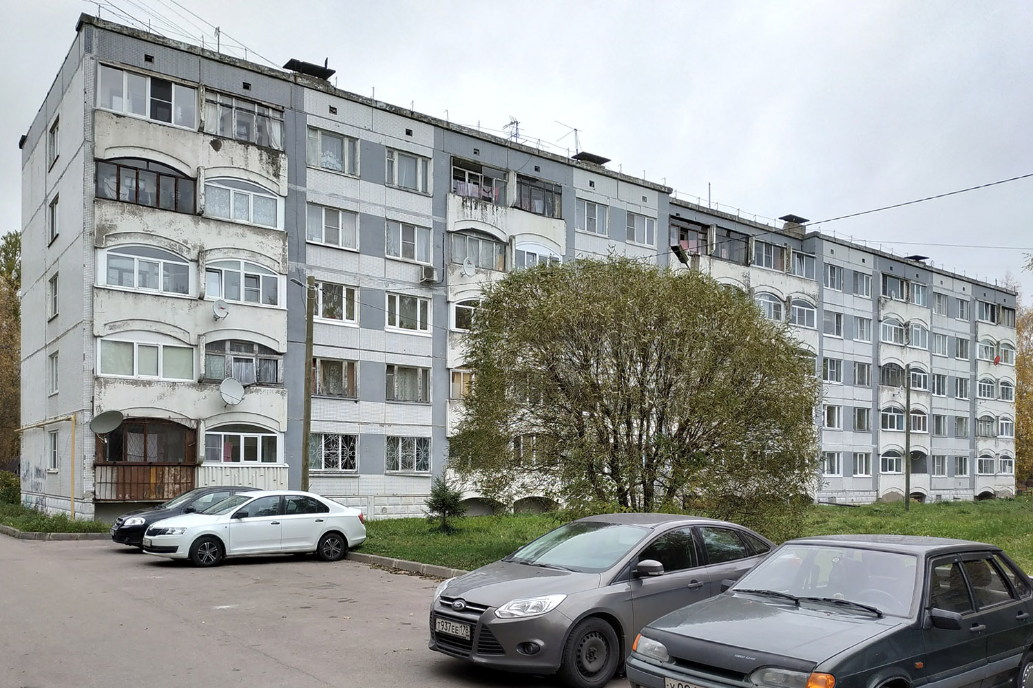 Гатчинский округ, прочие н. п., Торфяное, 43