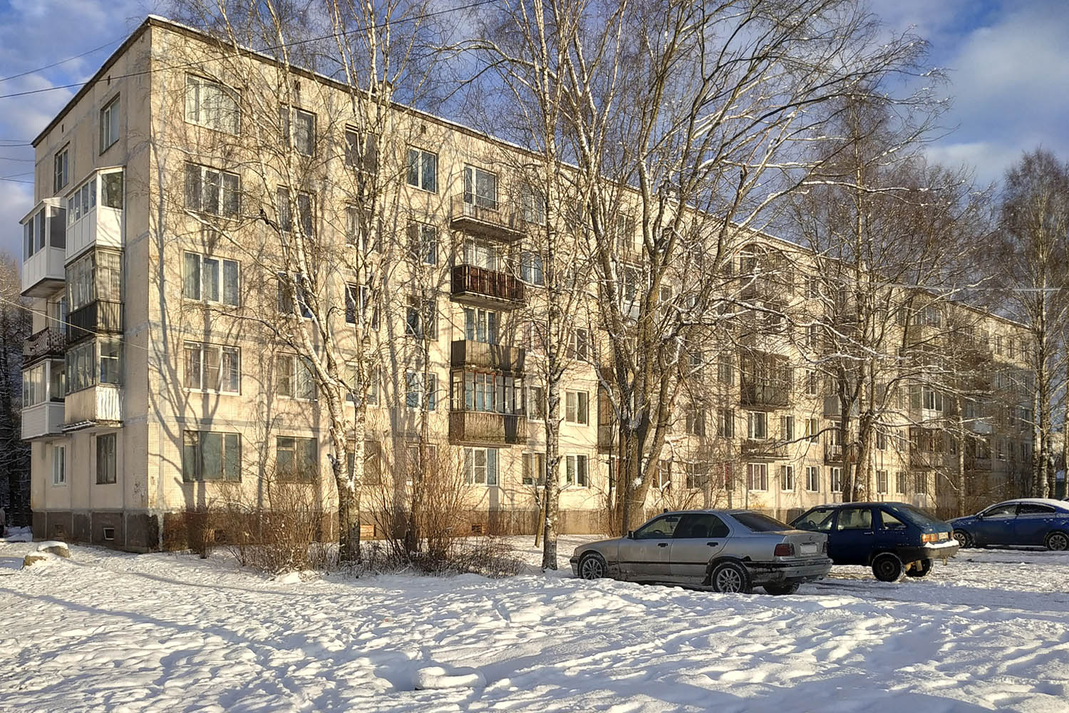 Первомайское, Улица Ленина, 62