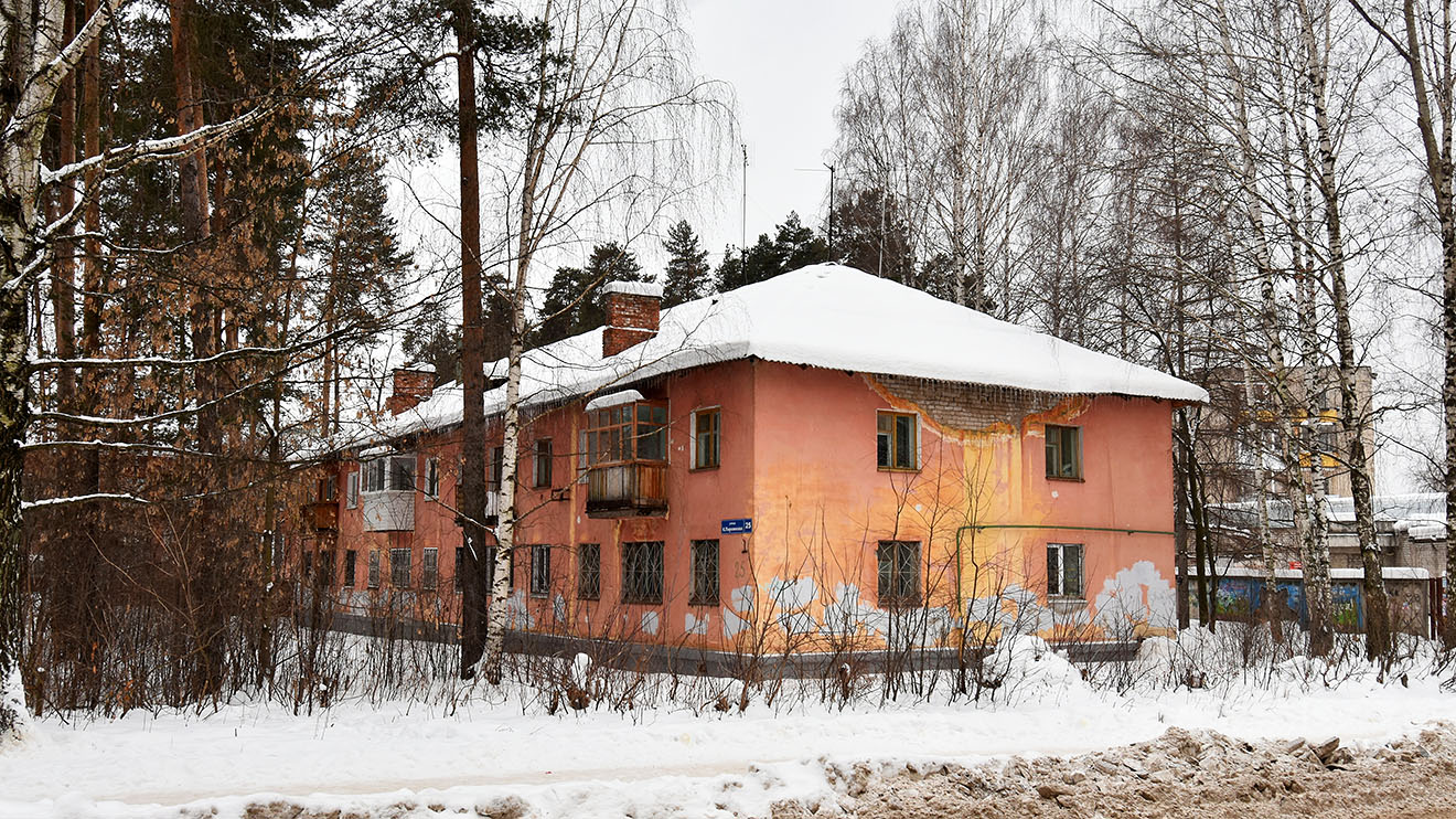 Пермь, Улица Капитана Пирожкова, 25