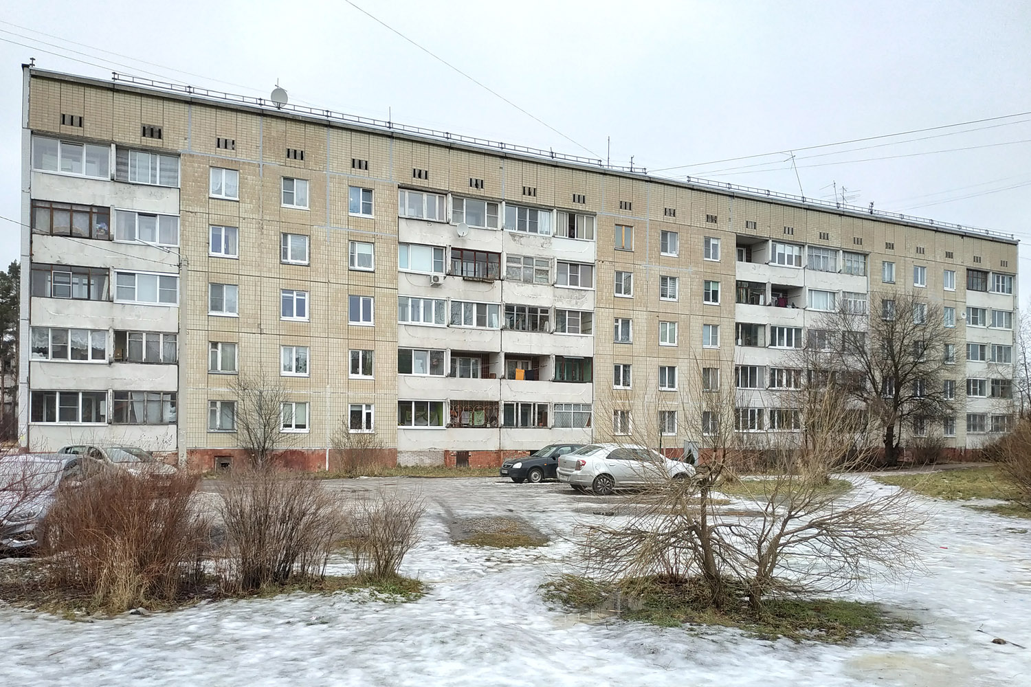 Ломоносовский район, прочие н. п., Горбунки, 19