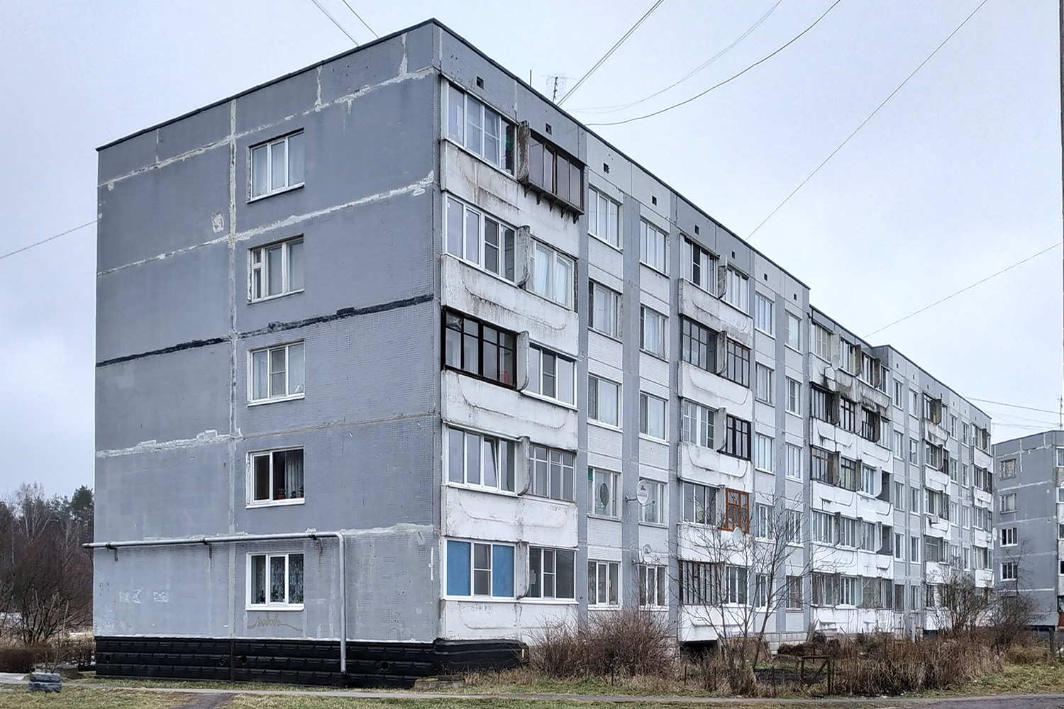 Ломоносовский район, прочие н. п., Горбунки, 26 Ломоносовский район, прочие н. п., Горбунки, 26