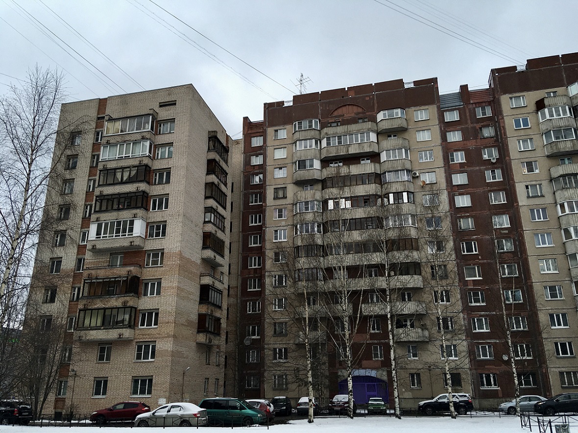 Санкт-Петербург, Камышовая улица, 32 корп. 1; Камышовая улица, 34 корп. 1