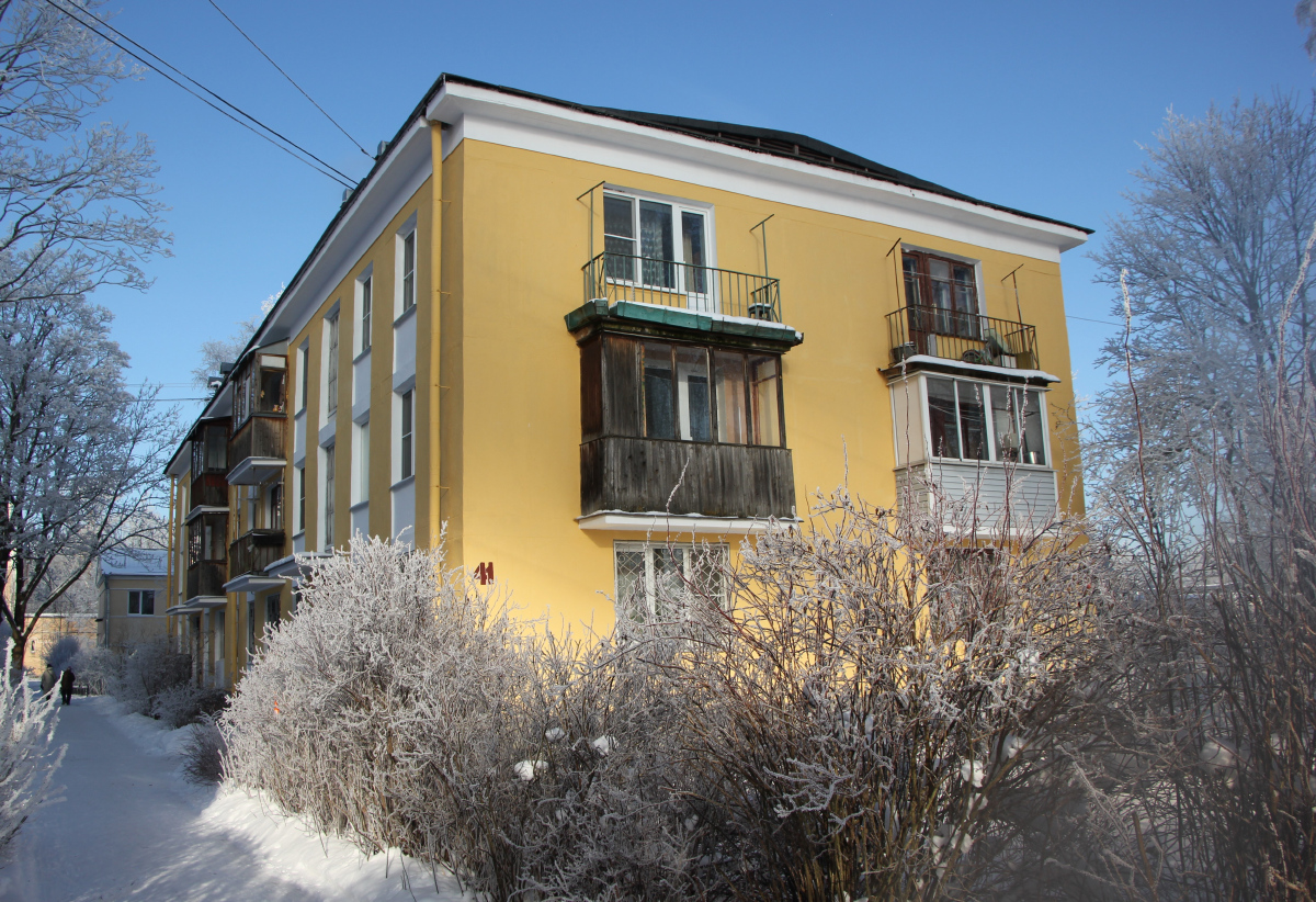 Пушкин, Сапёрная улица, 41