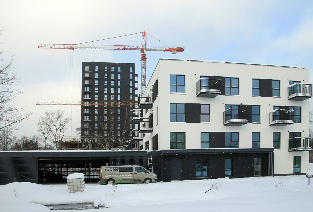 Tallinn, Päevalille, 2