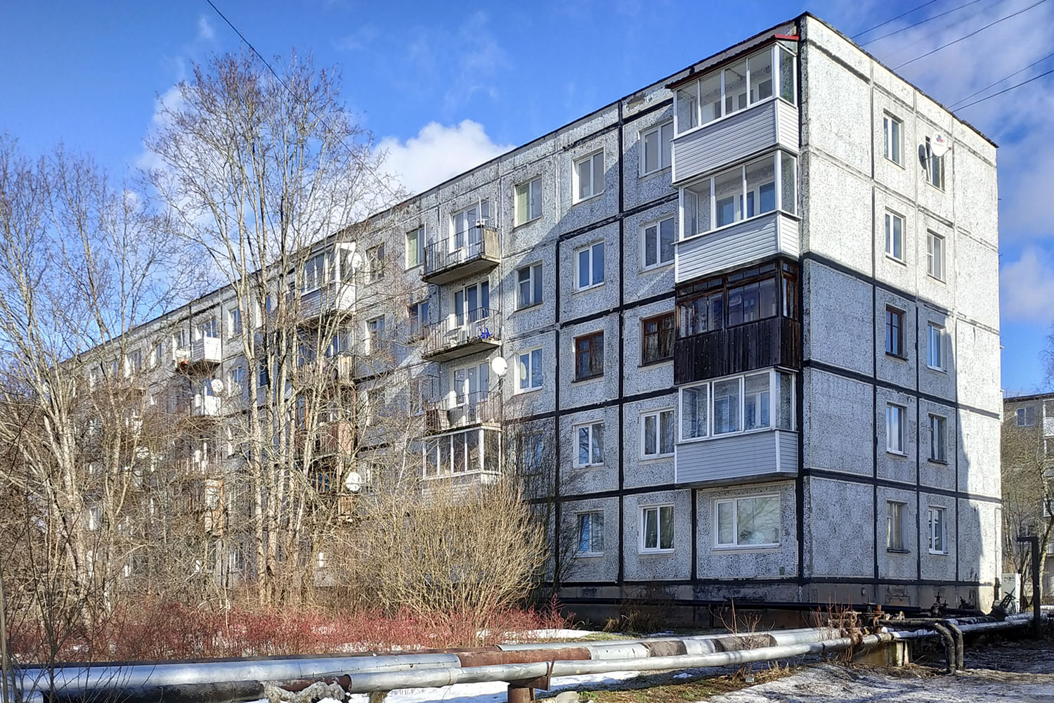 Дружная Горка, Улица Введенского, 13