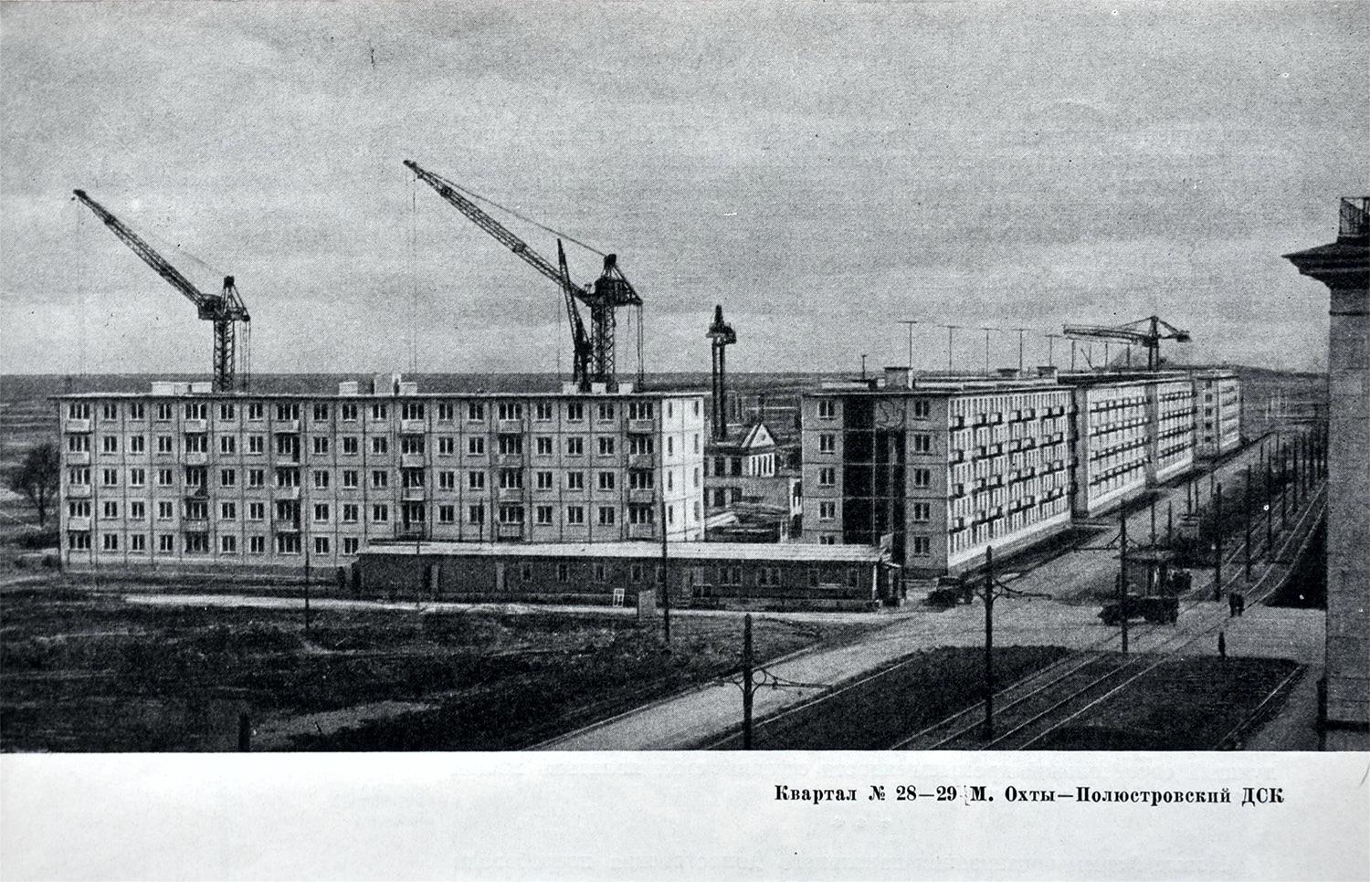 Санкт-Петербург, Таллинская улица, 15; Новочеркасский проспект, 42