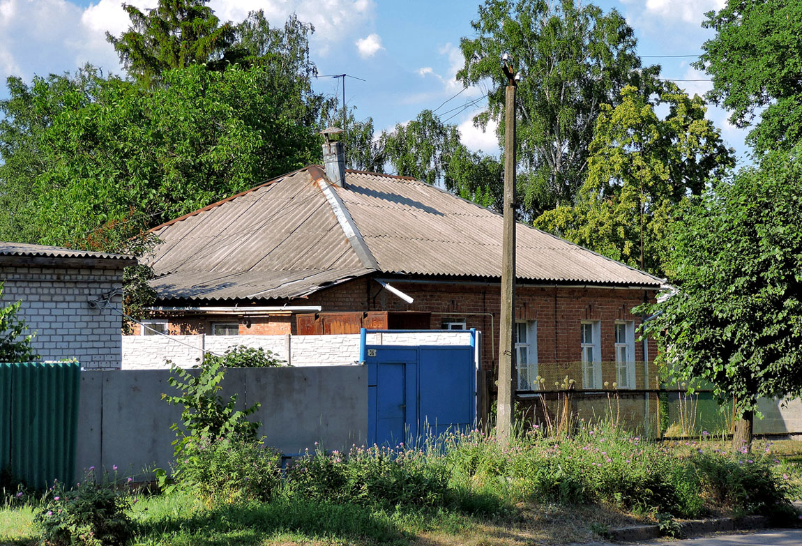 Покотиловка, Улица Независимости, 36