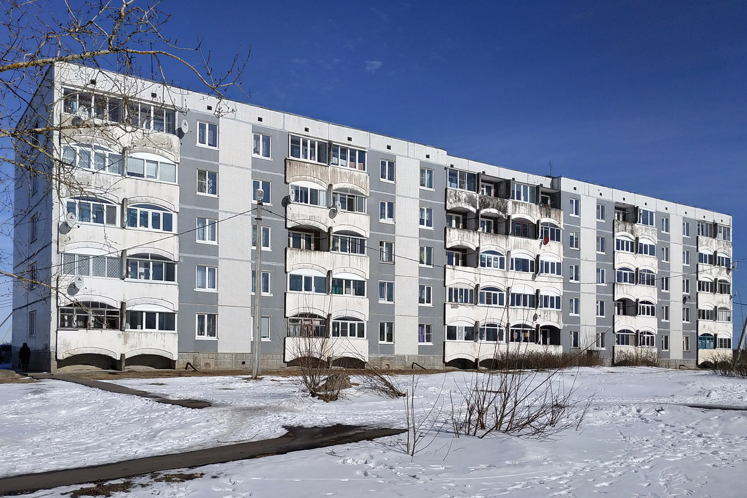 Volosovo District, other localities, Извара, 5