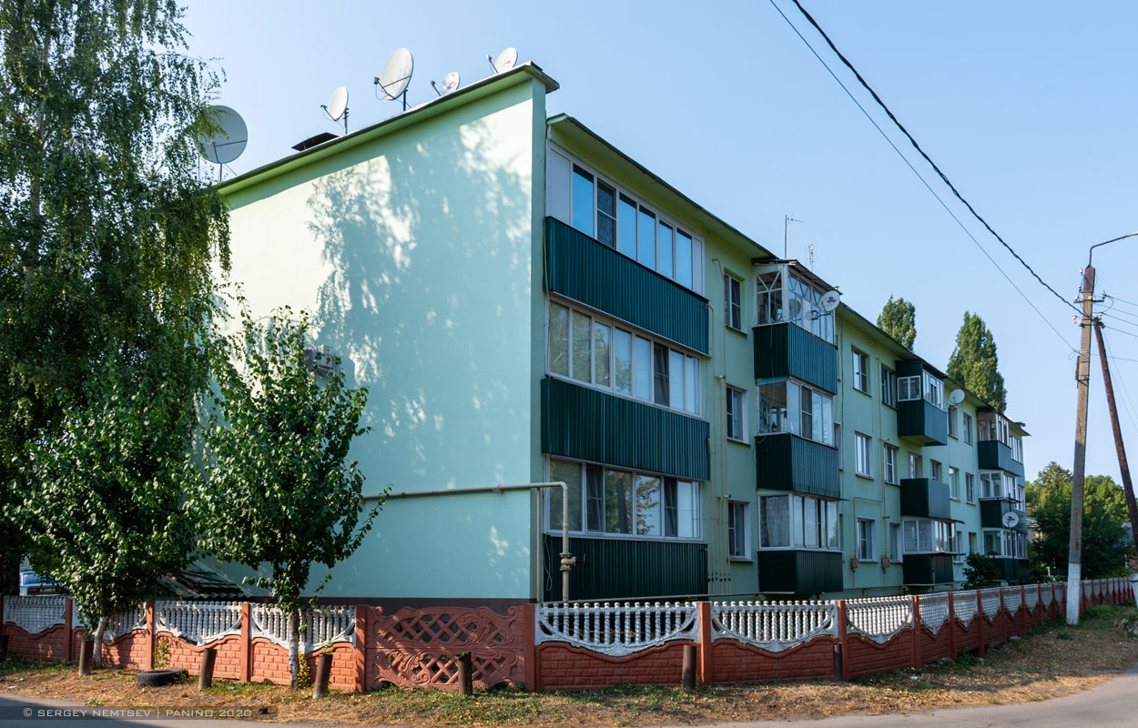 Панино, Советская улица, 18