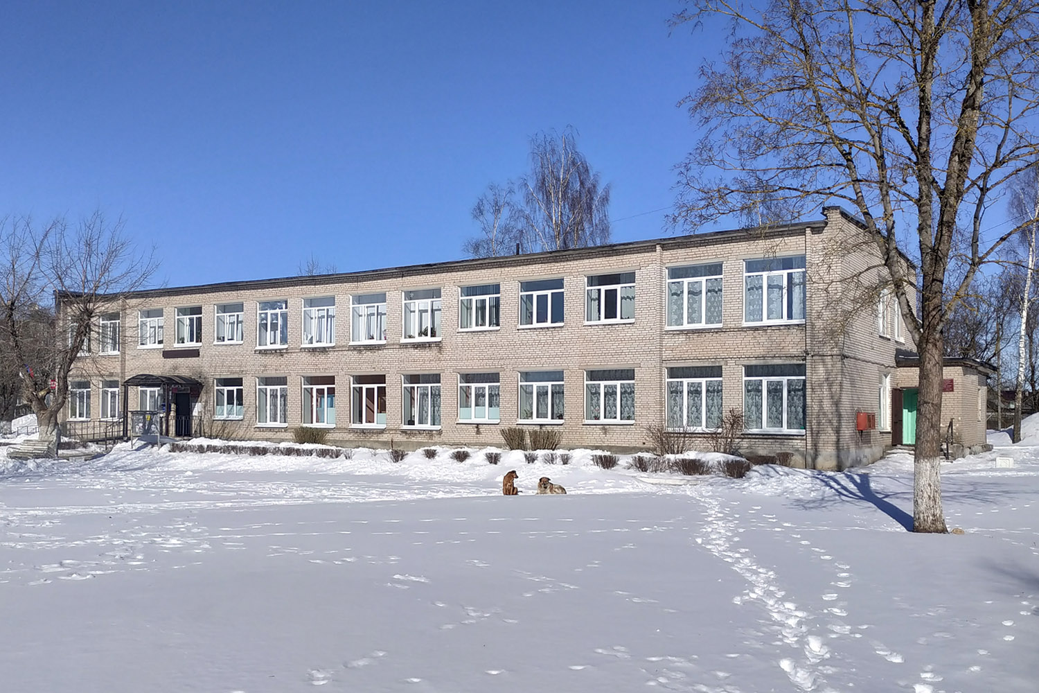 Волосовский район, прочие н. п., Большая Вруда, 51