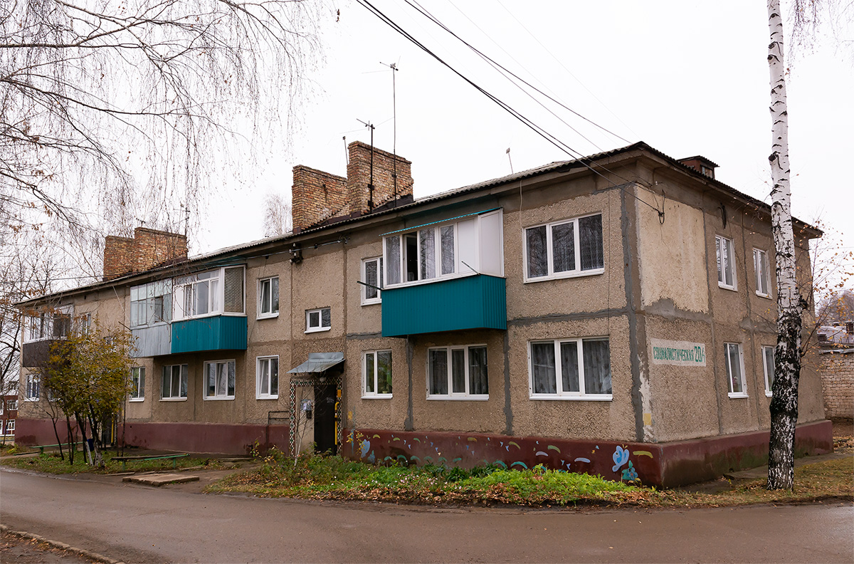 Благовещенск, Социалистическая улица, 20/1