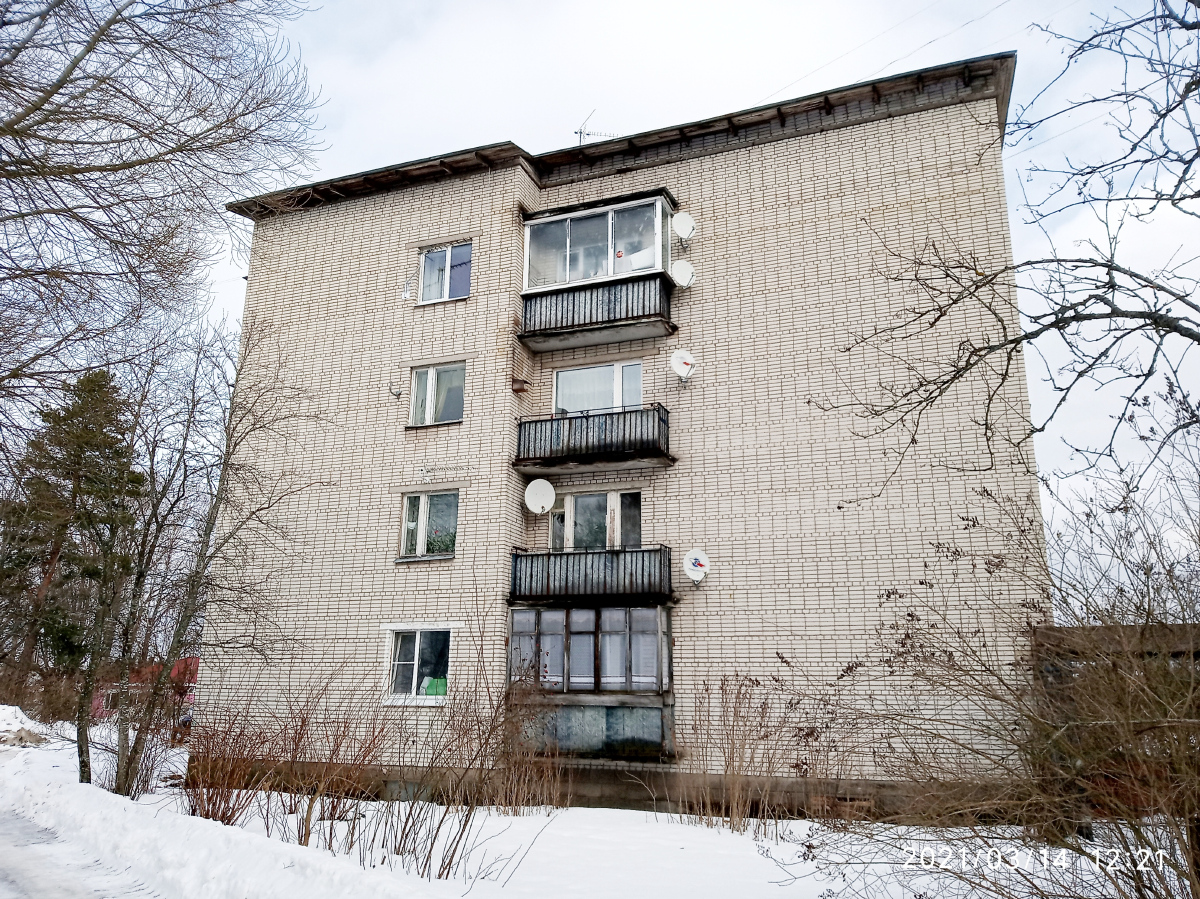 Выборгский район, прочие н. п., Поляны, Выборгское шоссе, 65