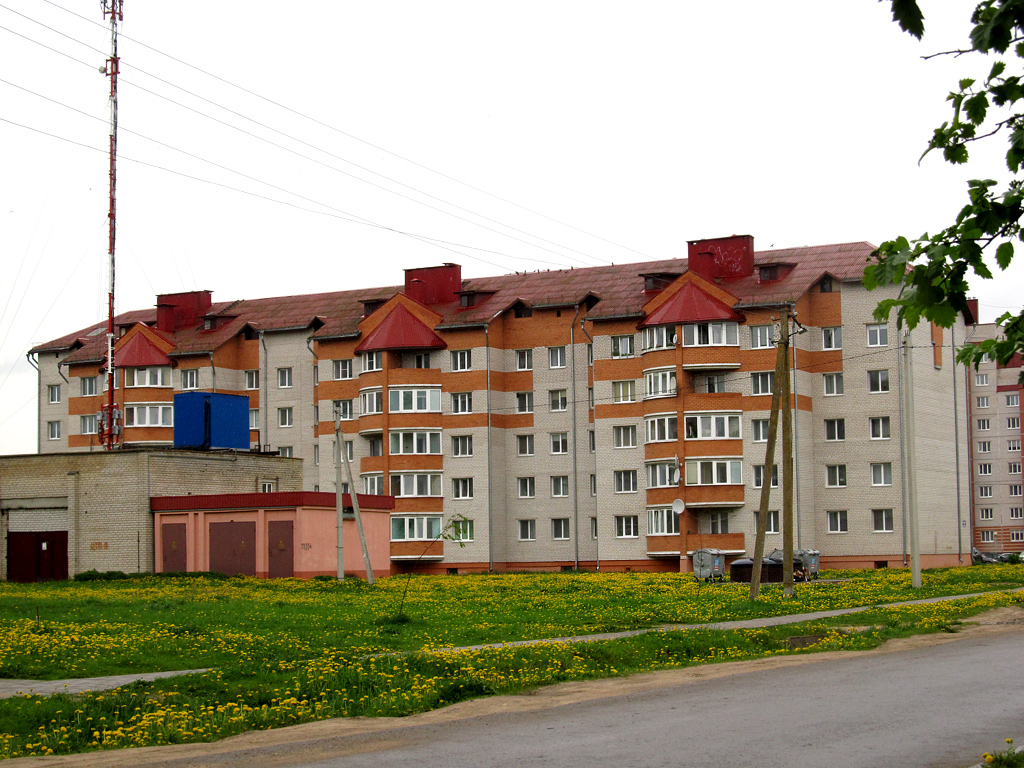 Горки, Улица Строителей, 19