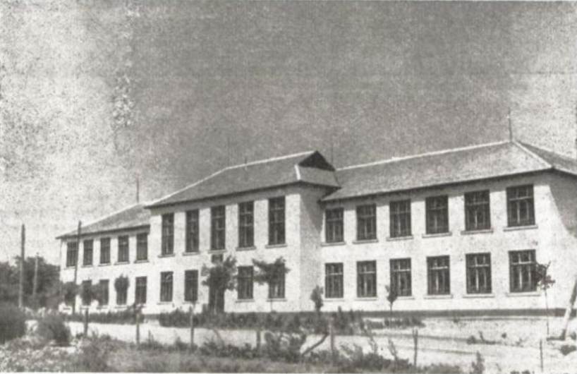 Овидиополь, Улица Шевченко, 228