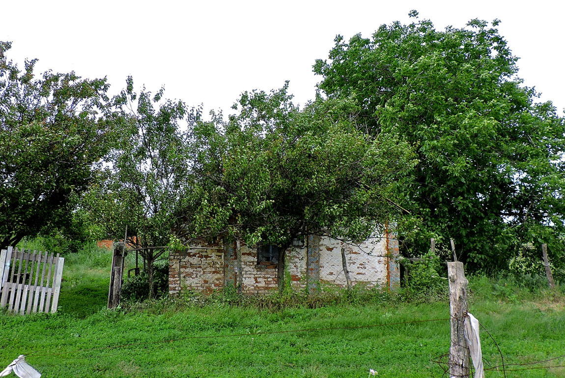 Коломакский район, прочие н.п., с. Андрусевка, Молодежная улица, (1)