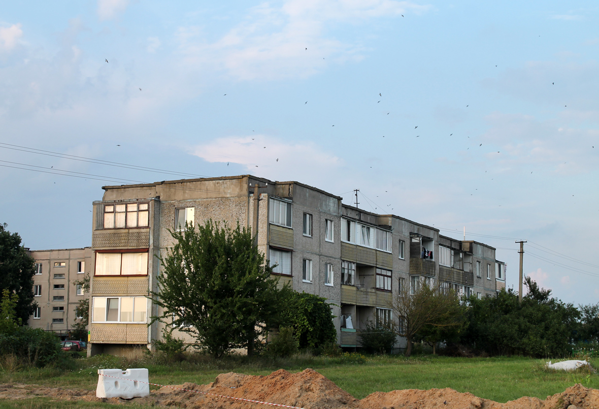 Пружаны, Улица 8 Марта, 1