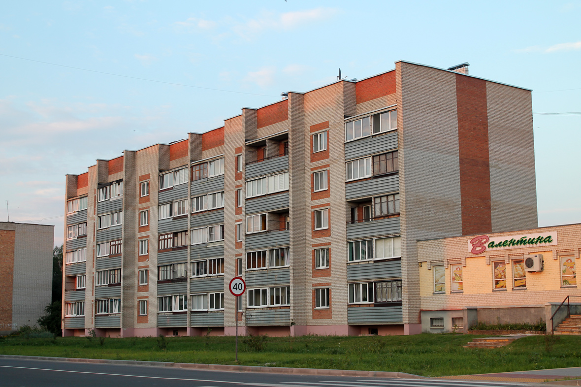 Каменец, Брестская улица, 89