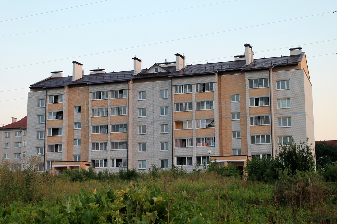 Каменец, Брестская улица, 113а