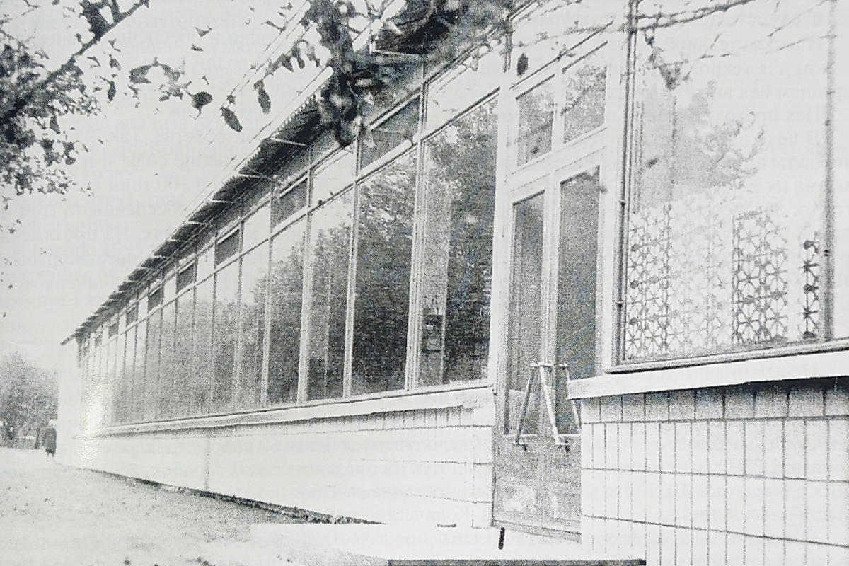 Лисичанск, Улица Мичурина, 74. Лисичанск — Исторические фото
