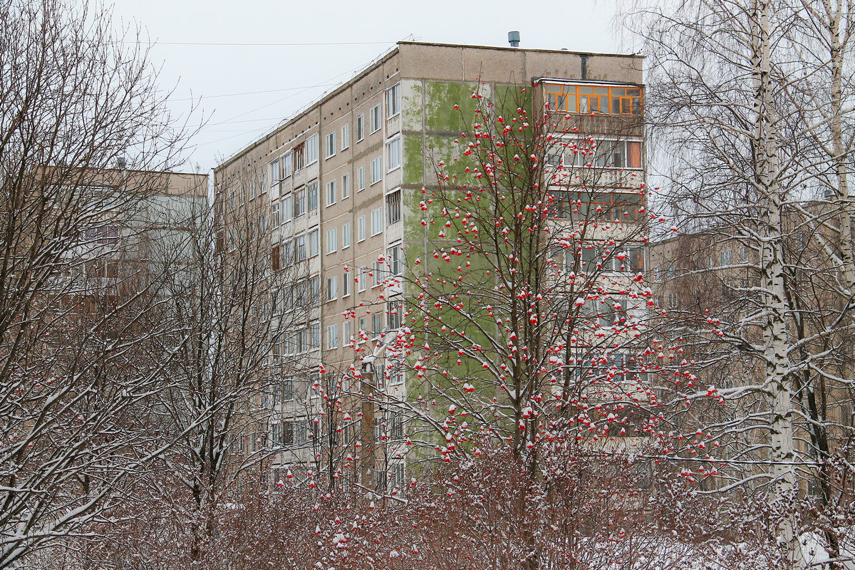 Березники, Улица Мира, 70