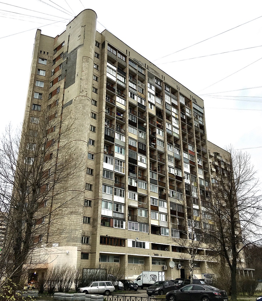 Санкт-Петербург, Наличная улица, 51