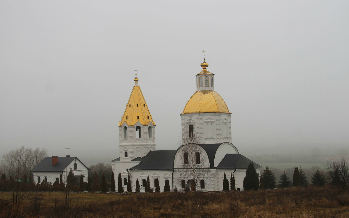 Семилукский район, прочие н.п., с. Терновое, Терновская улица, 2Б