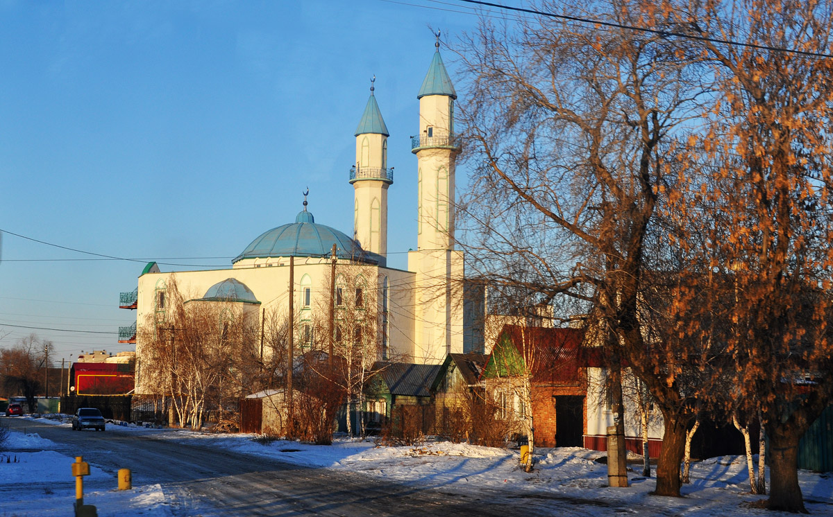 Омск, Улица 20-я линия, 102