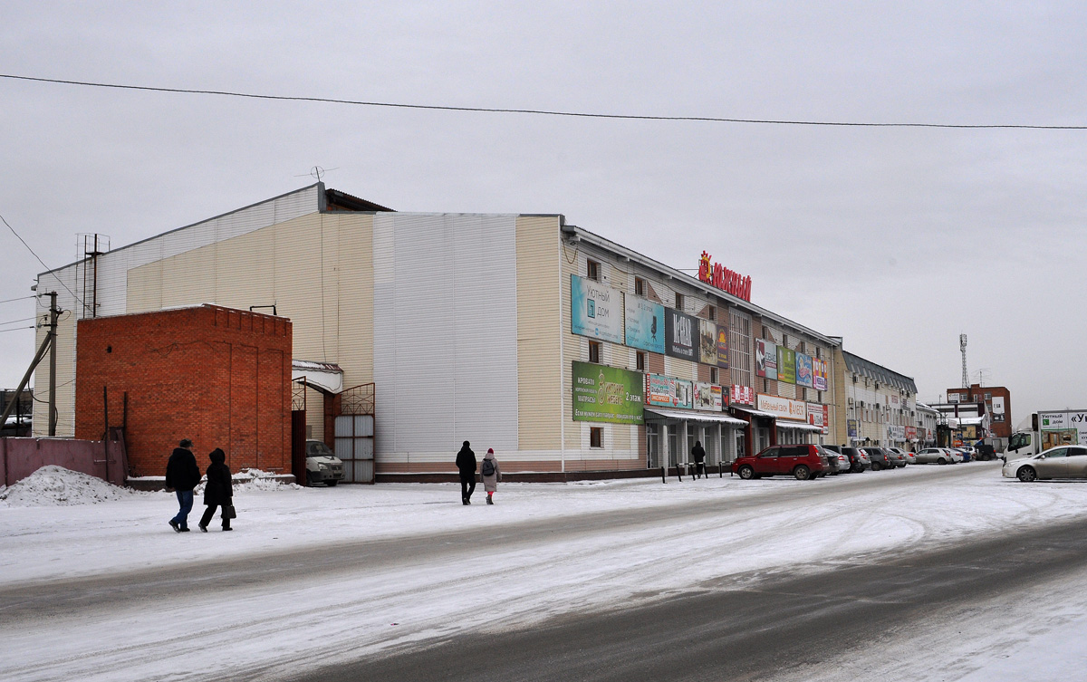 Омск, 1-я Путевая улица, 100