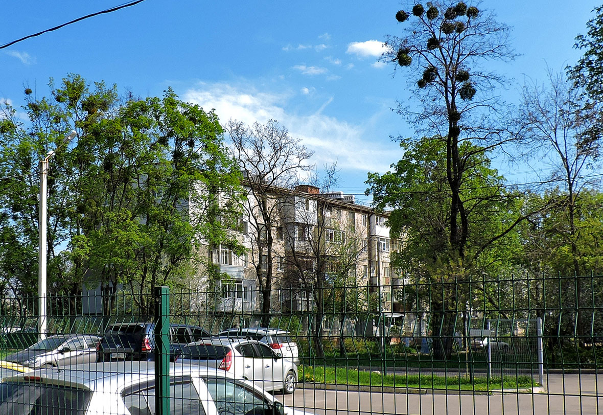 Харьков, Улица Ощепкова, 16