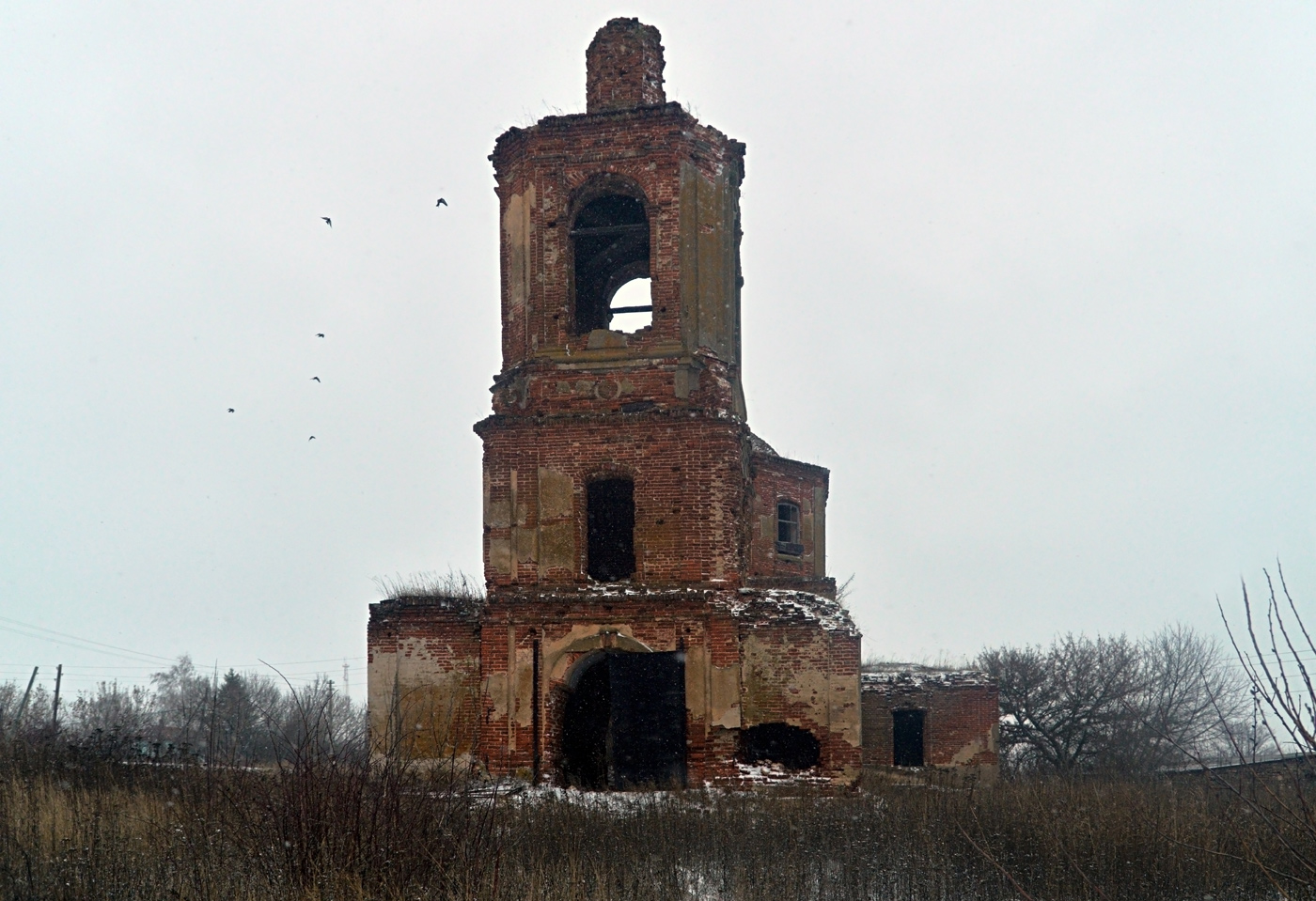 Хлевенский район, прочие н.п., с. Фомино-Негачевка, Центральная улица, *