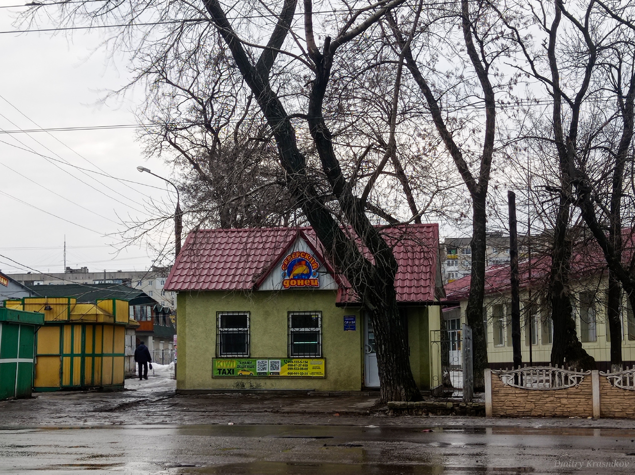 Лисичанск, Улица Владимира Сосюры, 247*