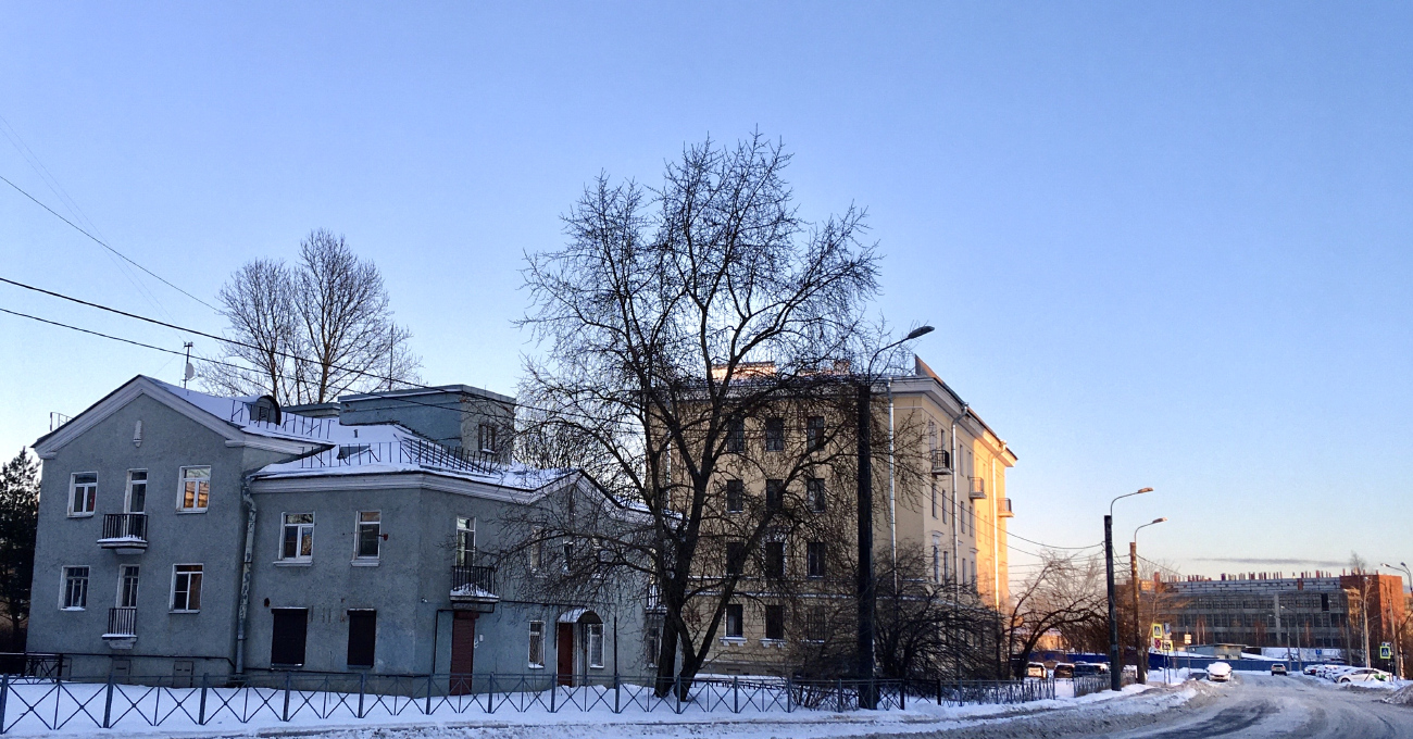 Санкт-Петербург, Касимовская улица, 8; Задворная улица, 2