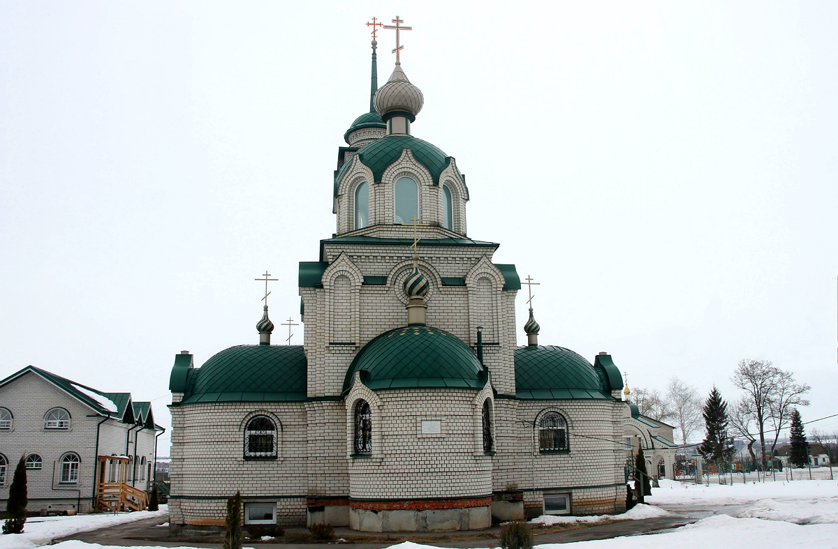 Рамонский район, прочие н.п., с. Новоживотинное, Улица Мира, 1А