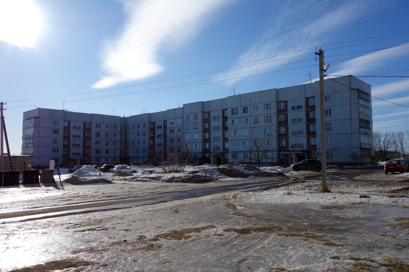 Novgorodsky district, other localities, Дер. Трубичино, 38