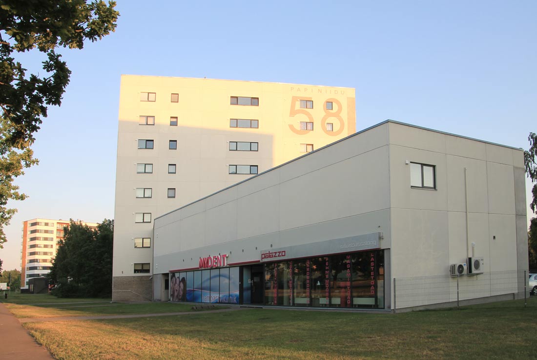 Пярну, Papiniidu, 58