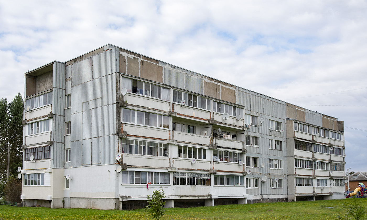 Наро-Фоминский городской округ, прочие н.п., дер. Веселёво, 13