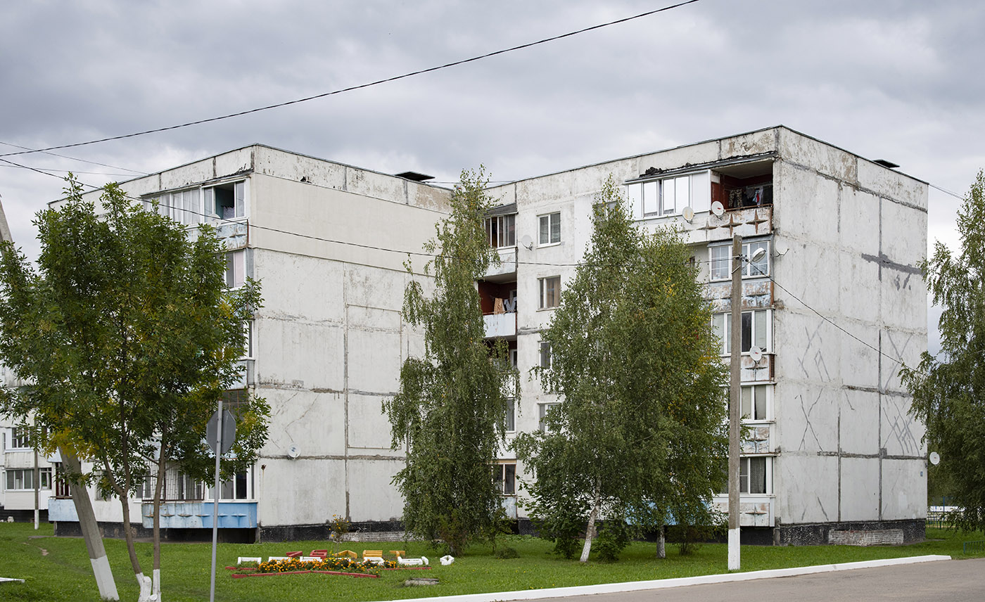 Наро-Фоминский городской округ, прочие н.п., дер. Веселёво, 10