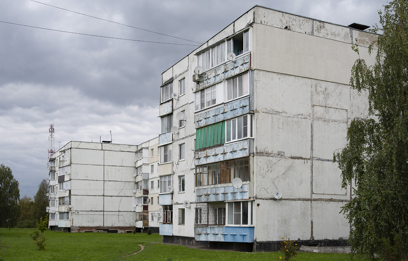 Наро-Фоминский городской округ, прочие н.п., дер. Веселёво, 10; дер. Веселёво, 11