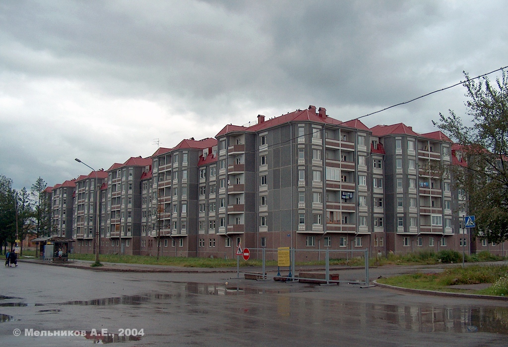 Puszkin, Красносельское шоссе, 48 / Сапёрная улица, 60