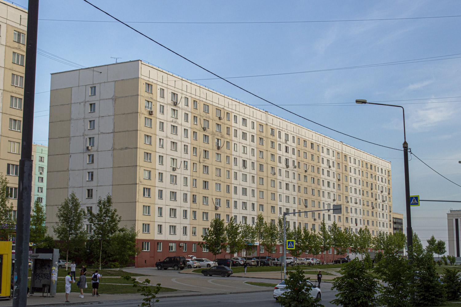 Новосибирск, Улица Татьяны Снежиной, 46