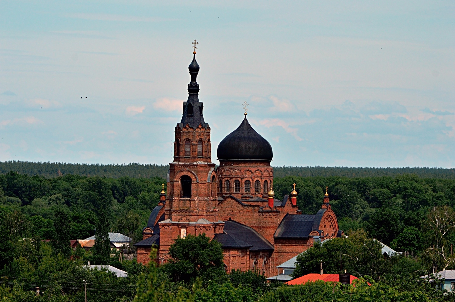 Борисоглебск, прочие н.п., с. Губари, Советская улица, 140