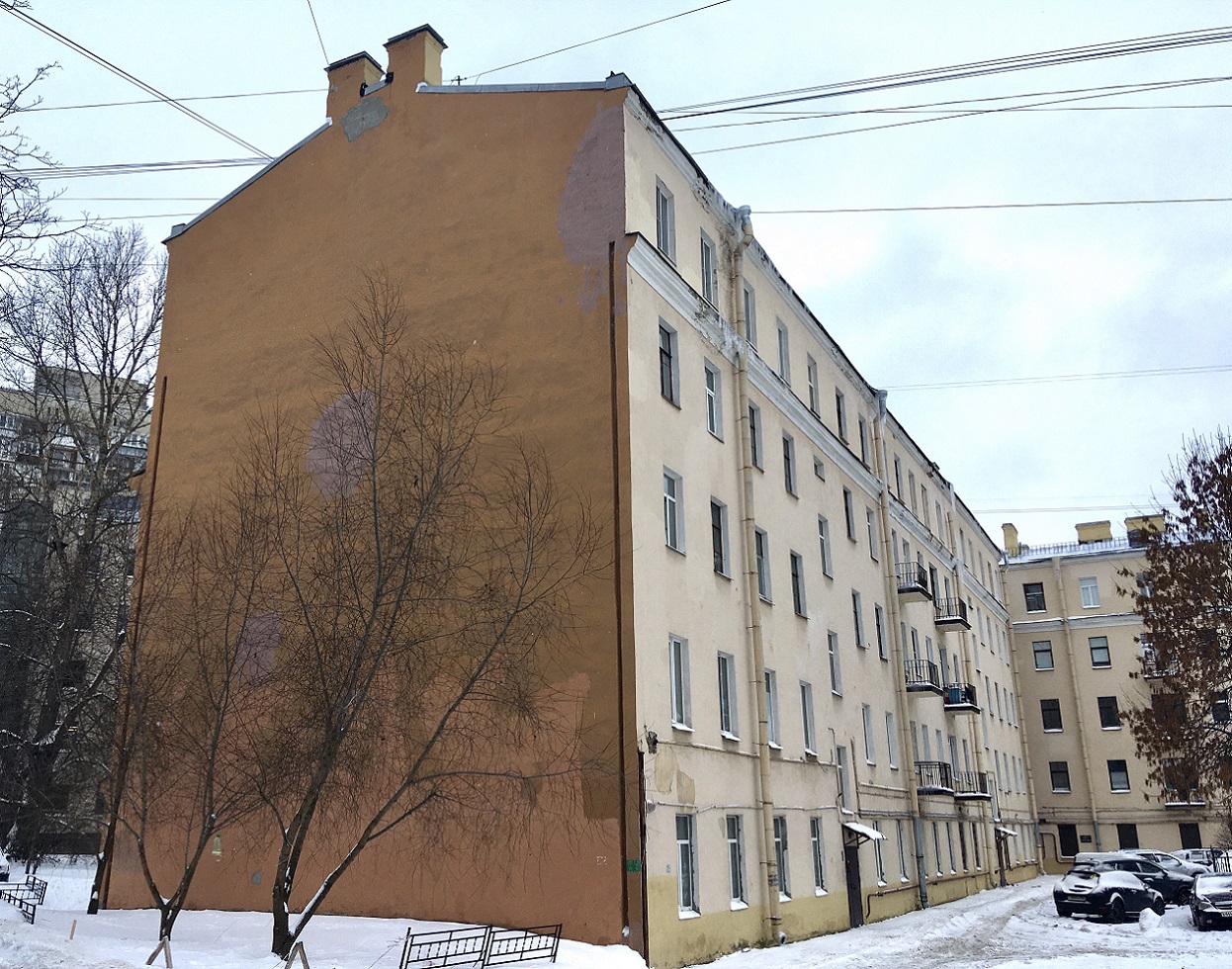 Санкт-Петербург, Переулок Каховского, 10