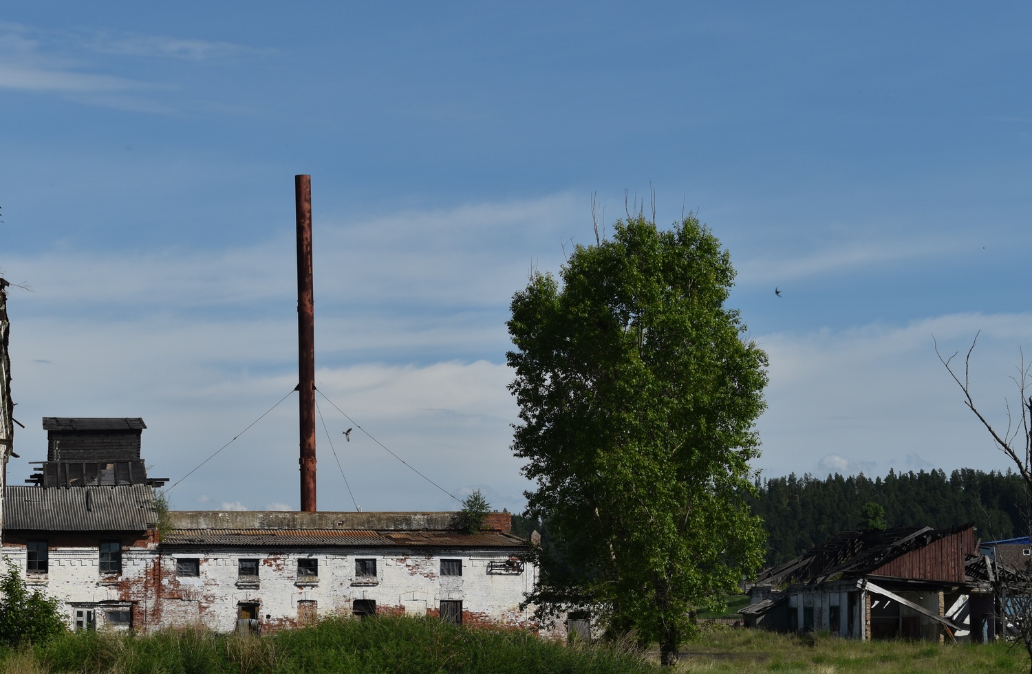 Александровское, Улица Дзержинского; Улица Дзержинского, **