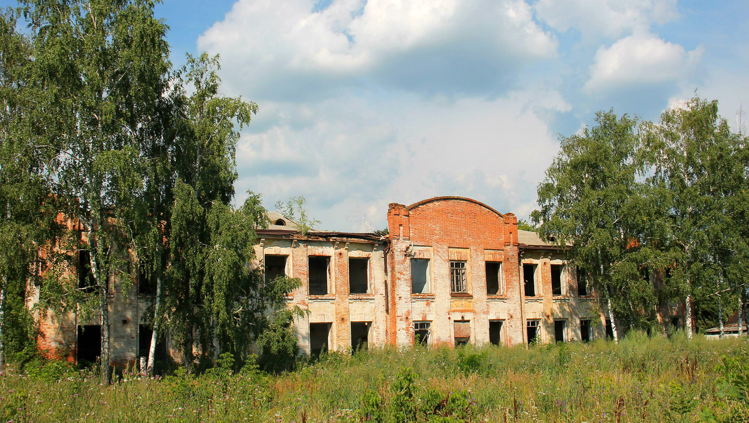 Рамонский район, прочие н.п., С. Берёзово, Улица Мира, 6В
