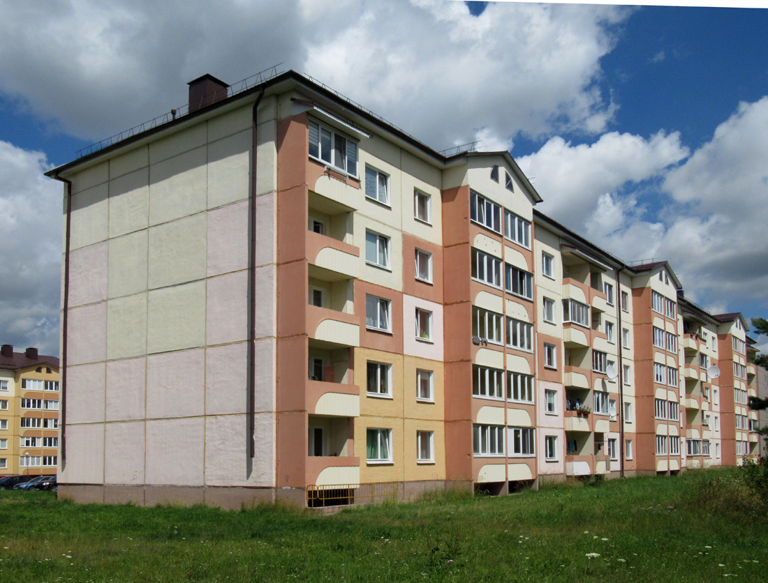 Дружный, Улица Шамановского, 57