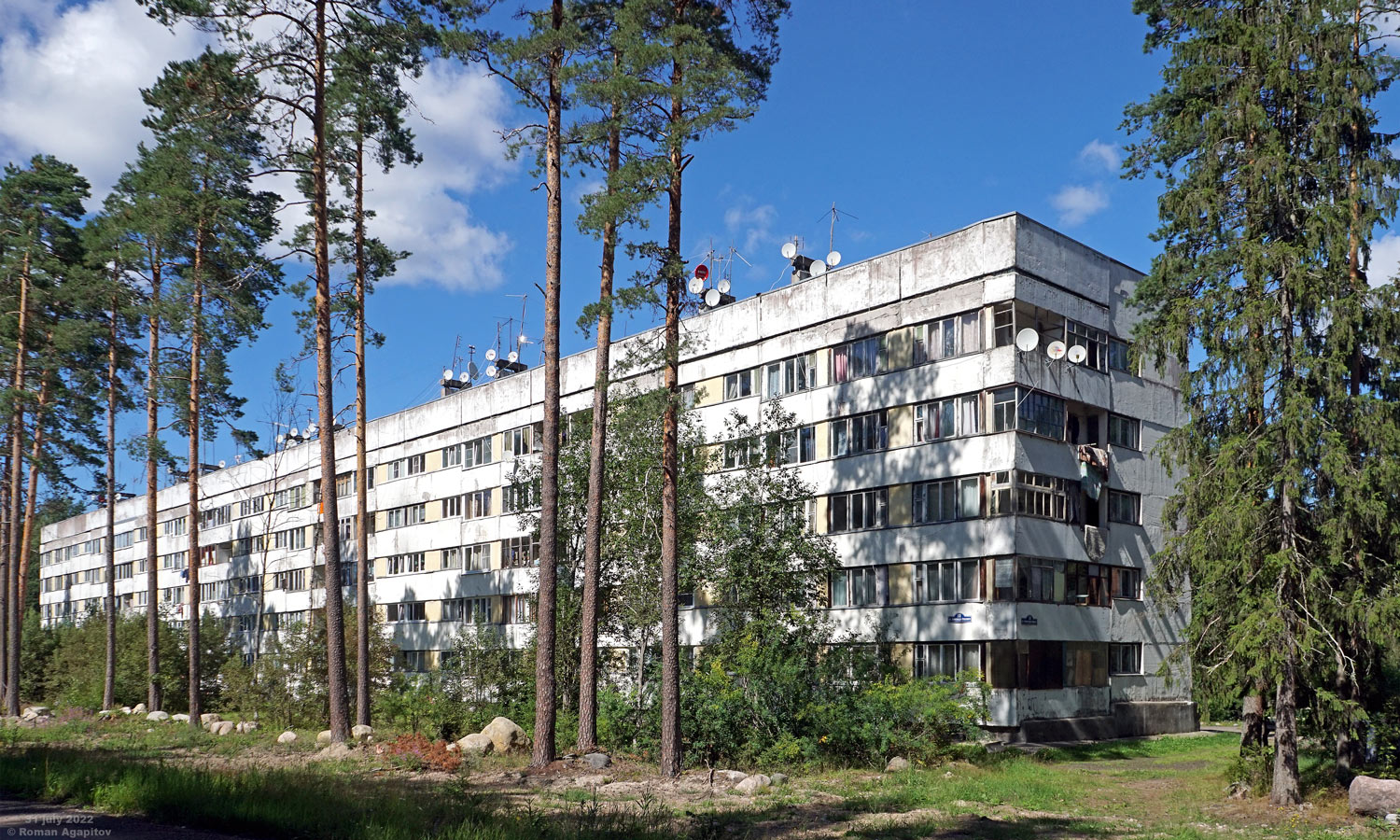 Выборгский район, прочие н. п., Сосновый Бор, улица Александра Невского, 10