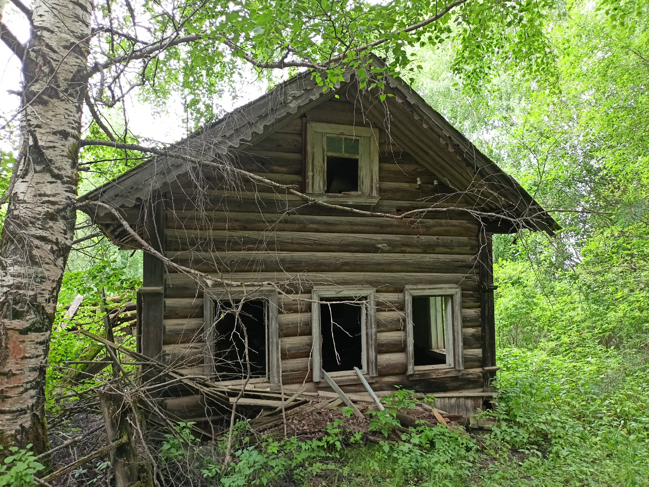 Красноборский район, прочие н.п., Дер. Якушевская, 2